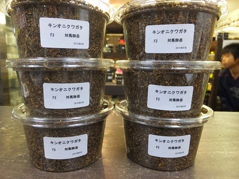 キンオニ