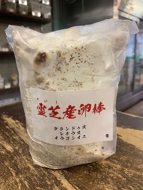 霊芝産卵棒！ : カブトクワガタ☆GLOBAL