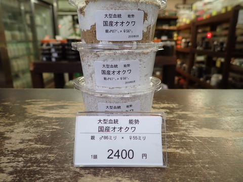 大型能勢
