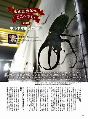 BE-KUWA84-058