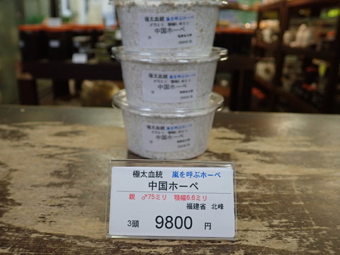 嵐