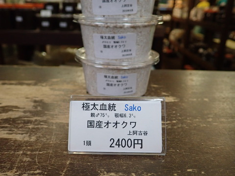 Sako