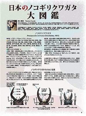 BE-KUWA99-004-800