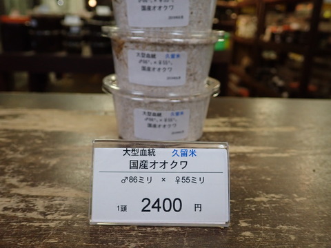 久留米