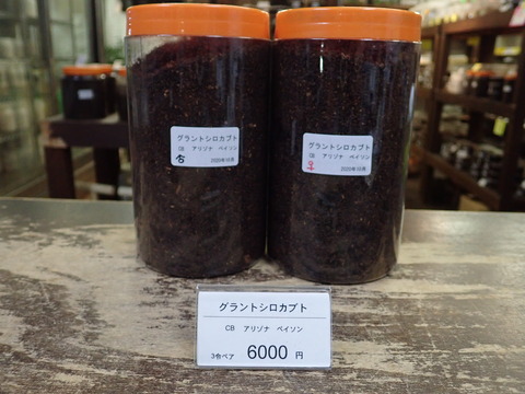 グラシロペア