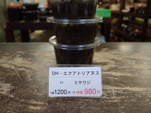 エクア