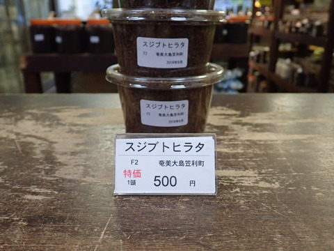 スジブト