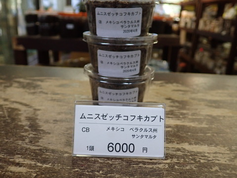 ムニス