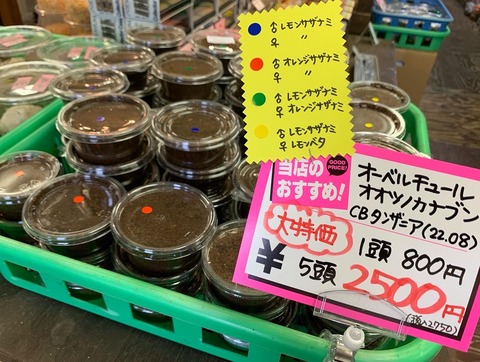 50B7E488-AED2-430D-827F-4251E71B299D