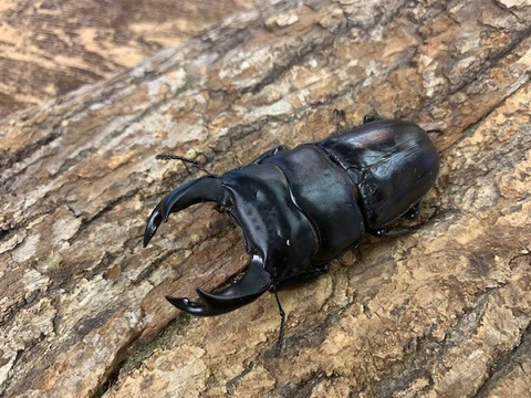 motoki81-285-20250721