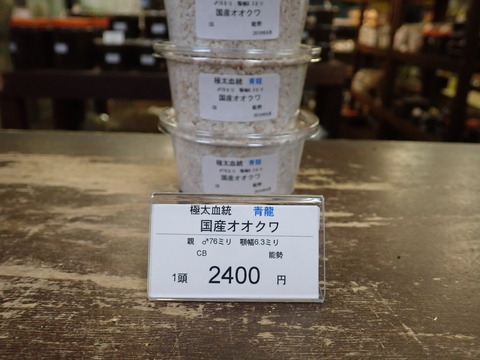 青龍