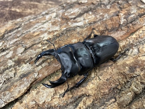 motoki78-52-20250721