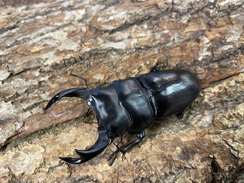 motoki78-53-20250721