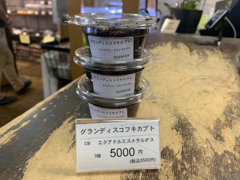 gurandhisukohuki-20250927