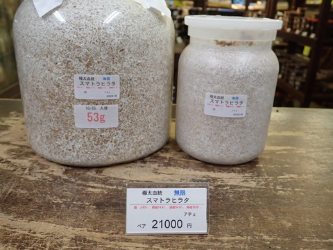 無限