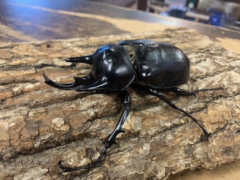 akuthion106-20251205