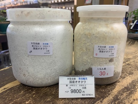 narawa98