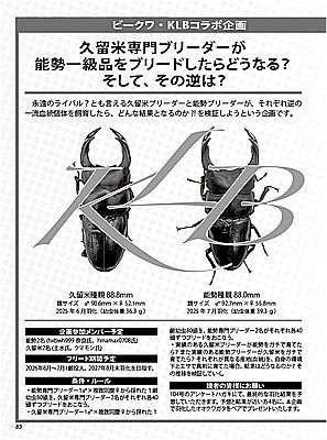BE-KUWA99-083-800