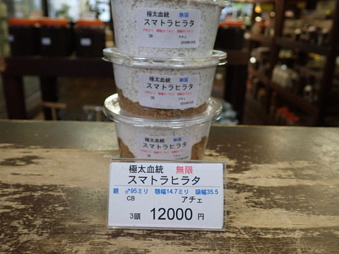 無限