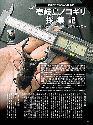 BE-KUWA99-040-800