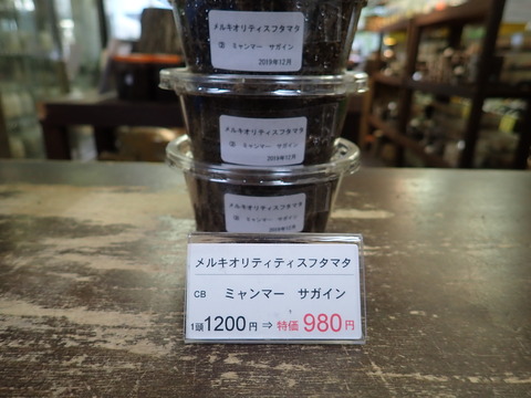 メルキオ