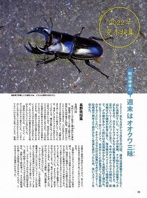 BE-KUWA86-070