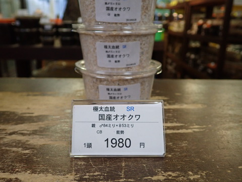 大型SR