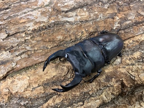 motoki81-29-20250721