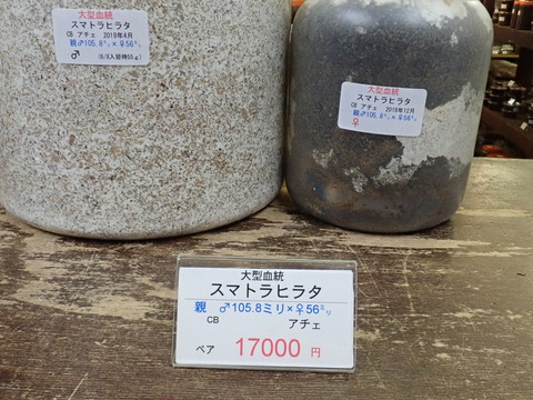 55g
