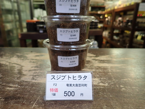 スジブト