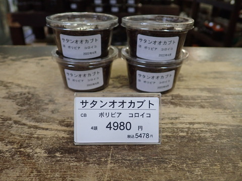 サタン