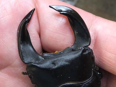 クラフト×エキサイト71-2-4