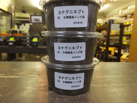 ヨナグニネブト