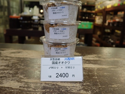 川西