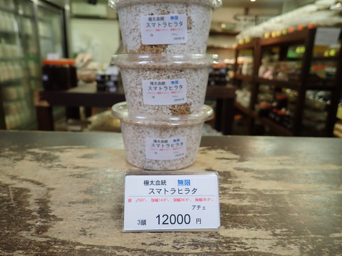 無限