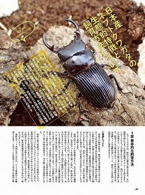 BE-KUWA86-044