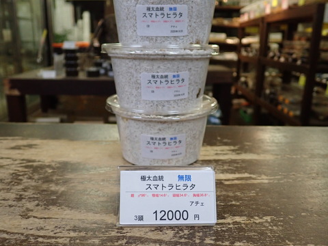 無限