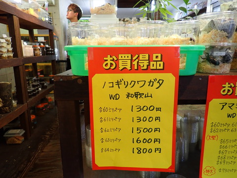ノコ2