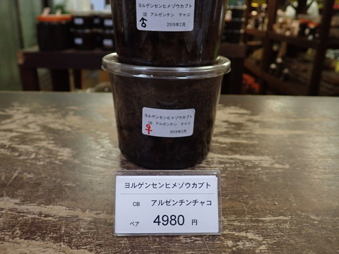 ヨルゲンセン