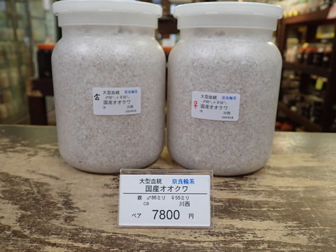 奈良輪ペア