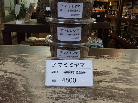 アマミミヤマ