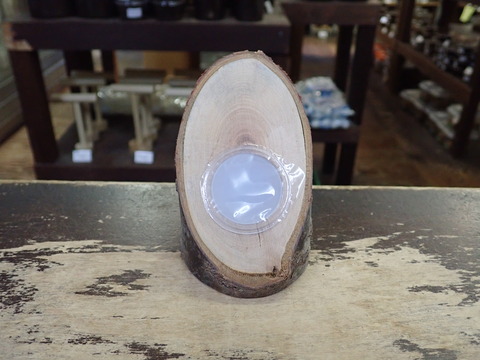 エサ皿デルタ16g1つ穴