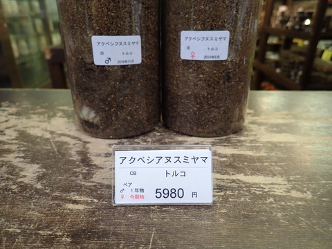アクベ