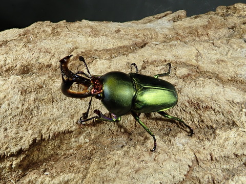 P6240240