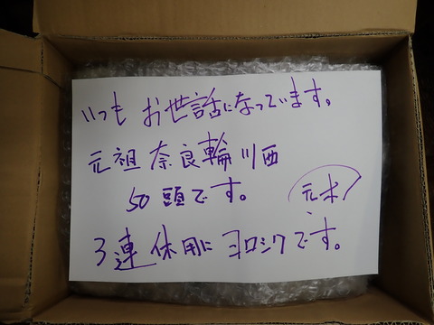 PB200003