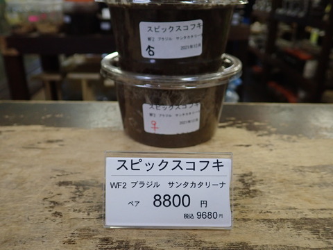 スピックス