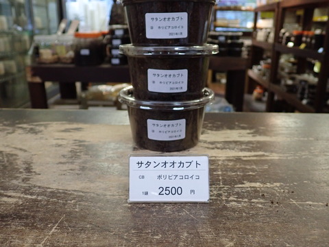 サタン