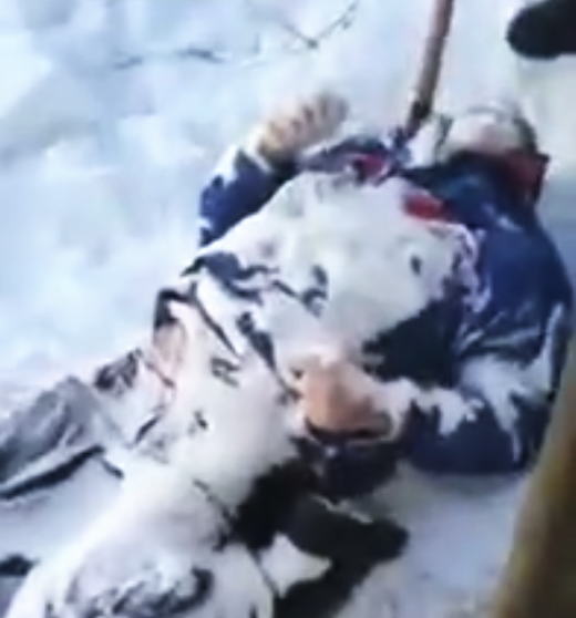 ロシアでカチンコチンに凍った男性の遺体が発見される。