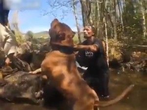 間違いなく人殺せるわ…「モンスター犬」動画がヤバすぎる