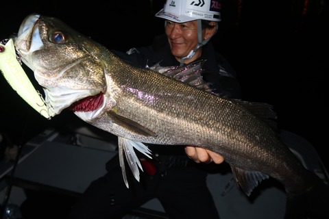 20240404210419_IMG_0836